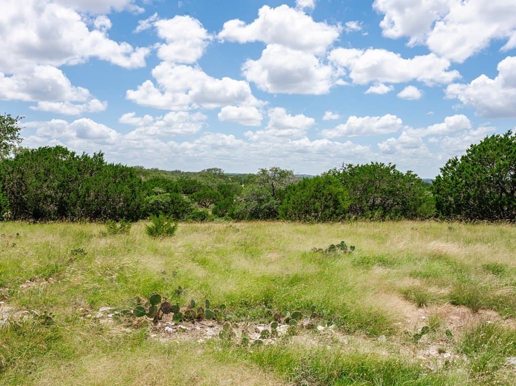 27.84 acres in Gillespie County - photo 6