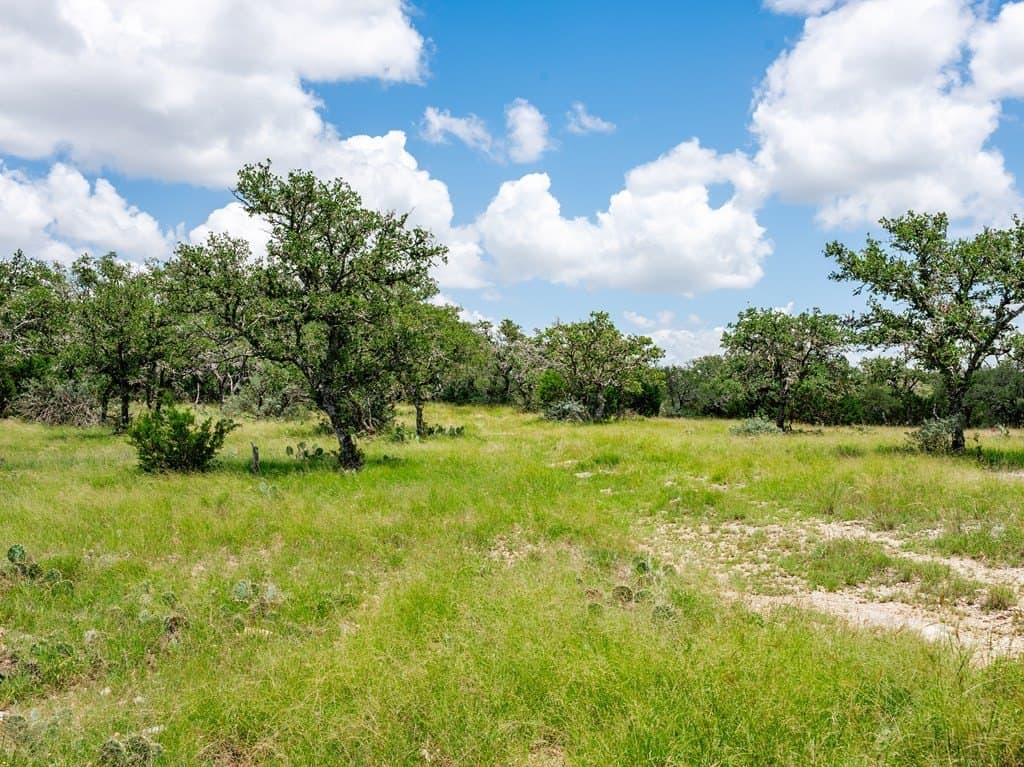 27.84 acres in Gillespie County - photo 9