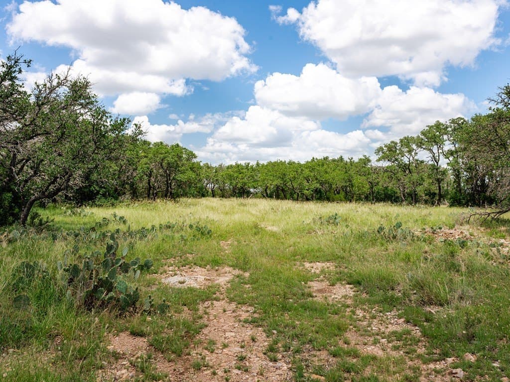 27.84 acres in Gillespie County - photo 19