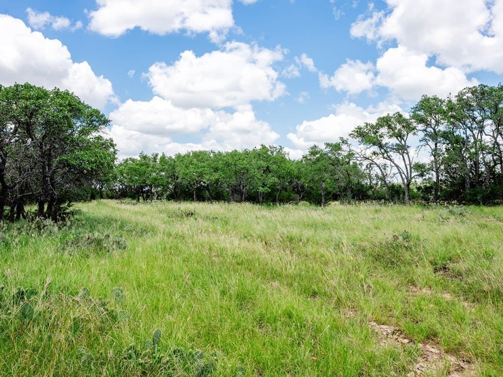 27.84 acres in Gillespie County - photo 15