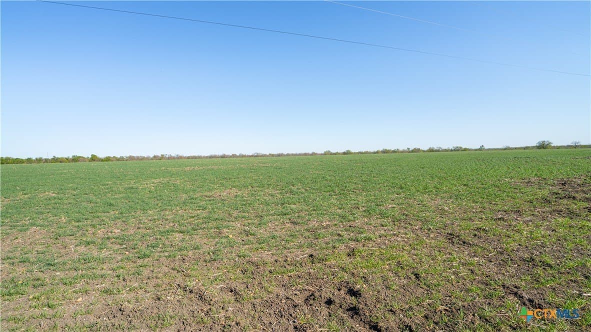 6 acres in Milam County - photo 9