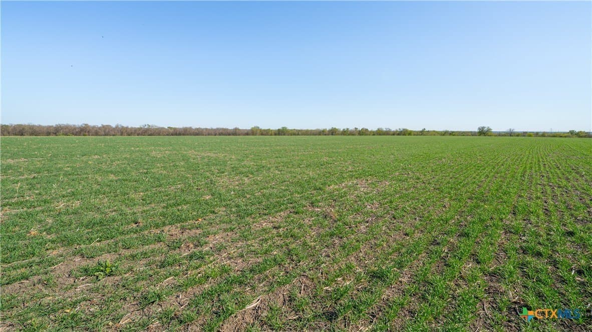 6 acres in Milam County - photo 17