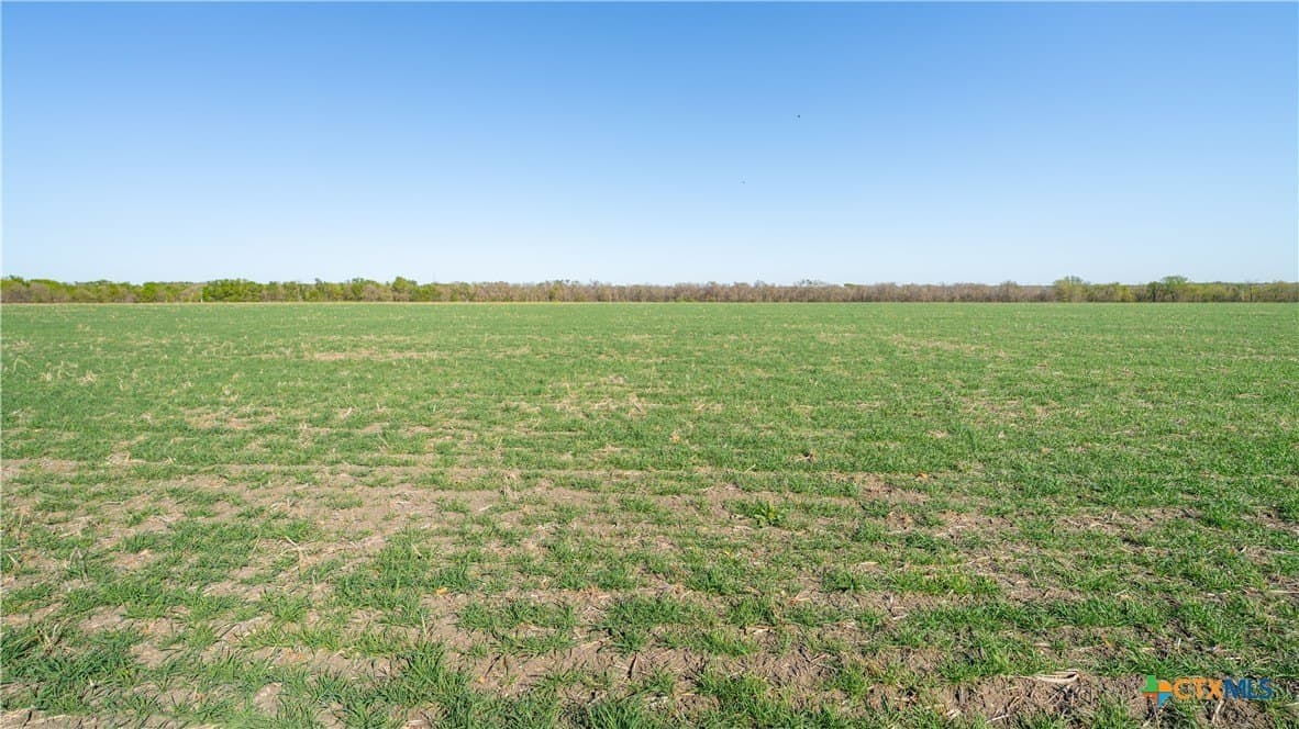 6 acres in Milam County - photo 16