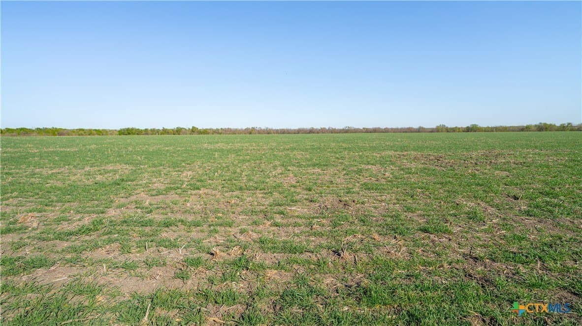 6 acres in Milam County - photo 11
