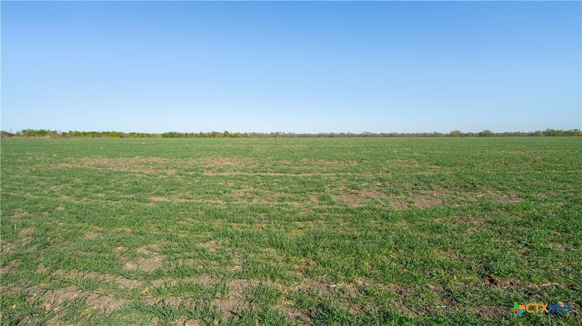 6 acres in Milam County - photo 14