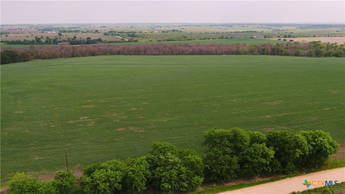 6 acres in Milam County - photo 7