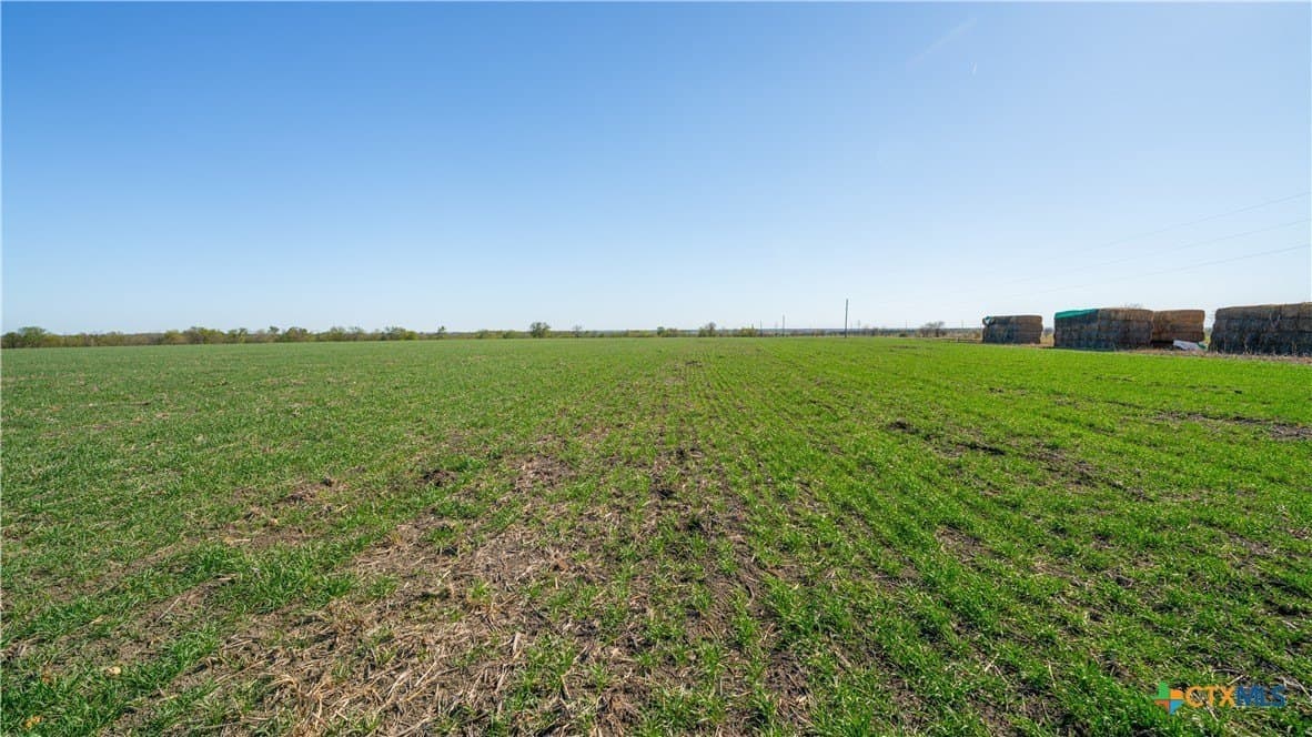 6 acres in Milam County - photo 8