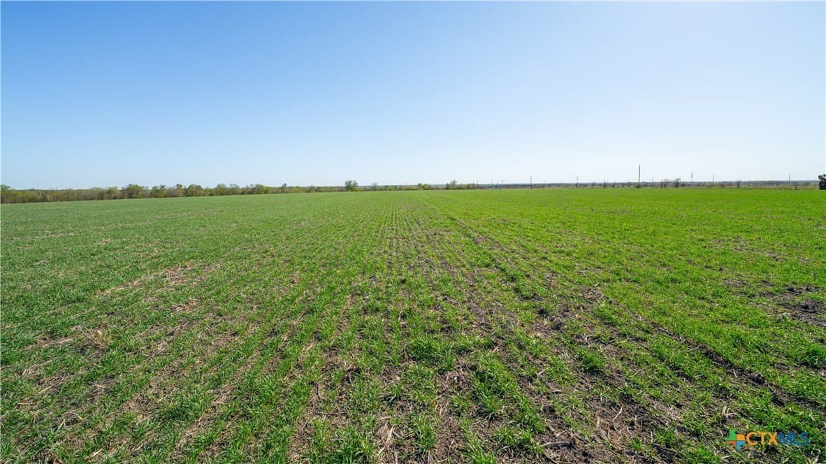 6 acres in Milam County - photo 18