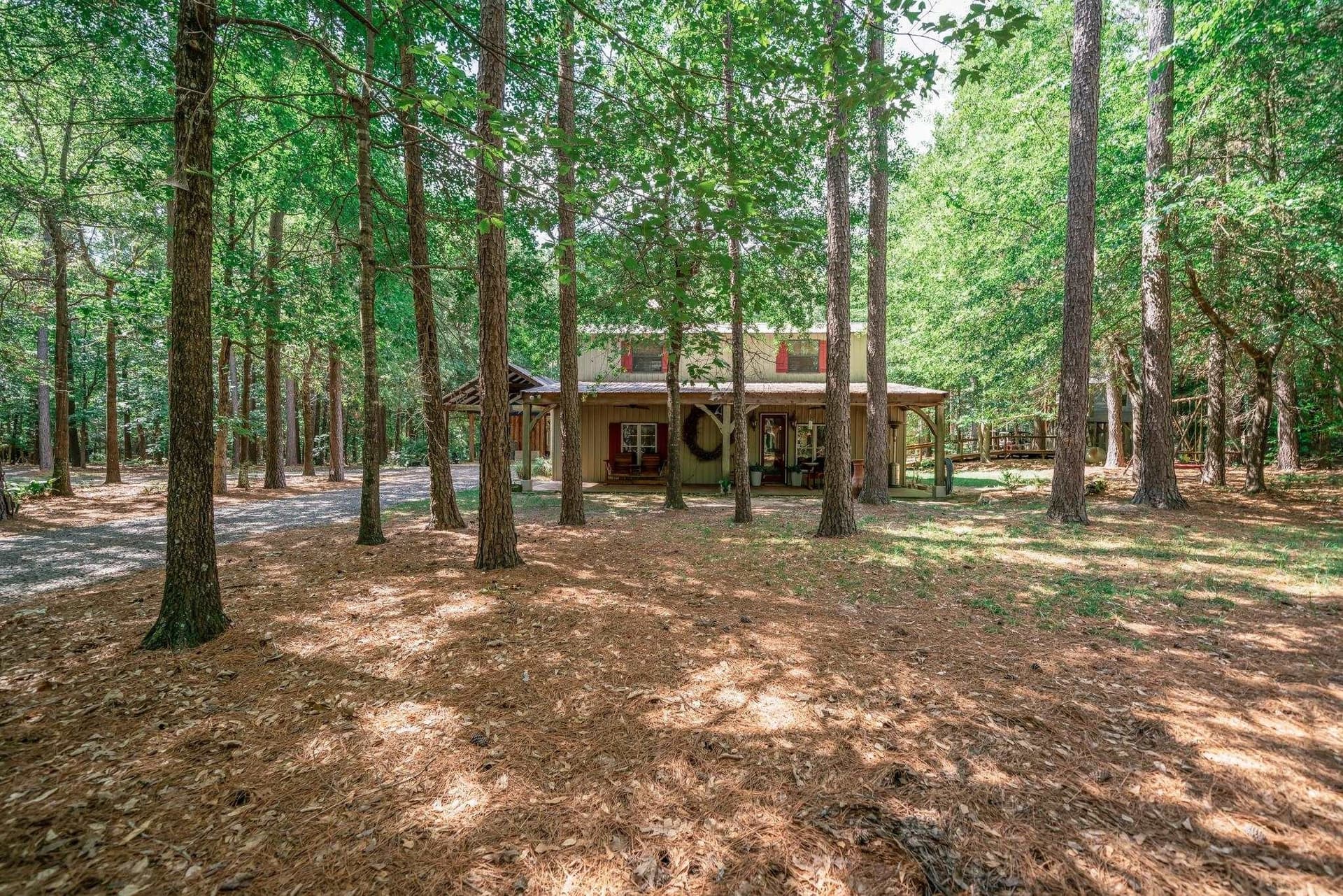 12.69 acres in Rusk County gallery image 3