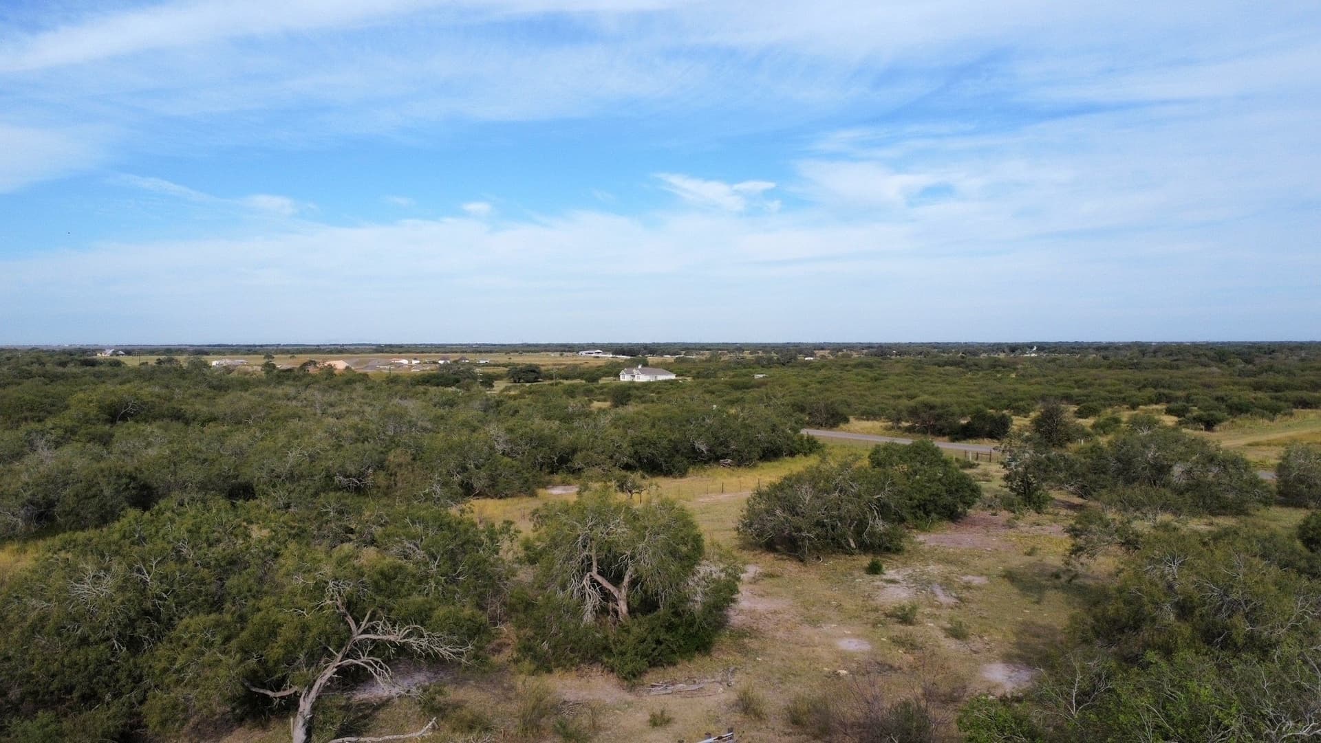 84.17 acres in San Patricio County gallery image 3