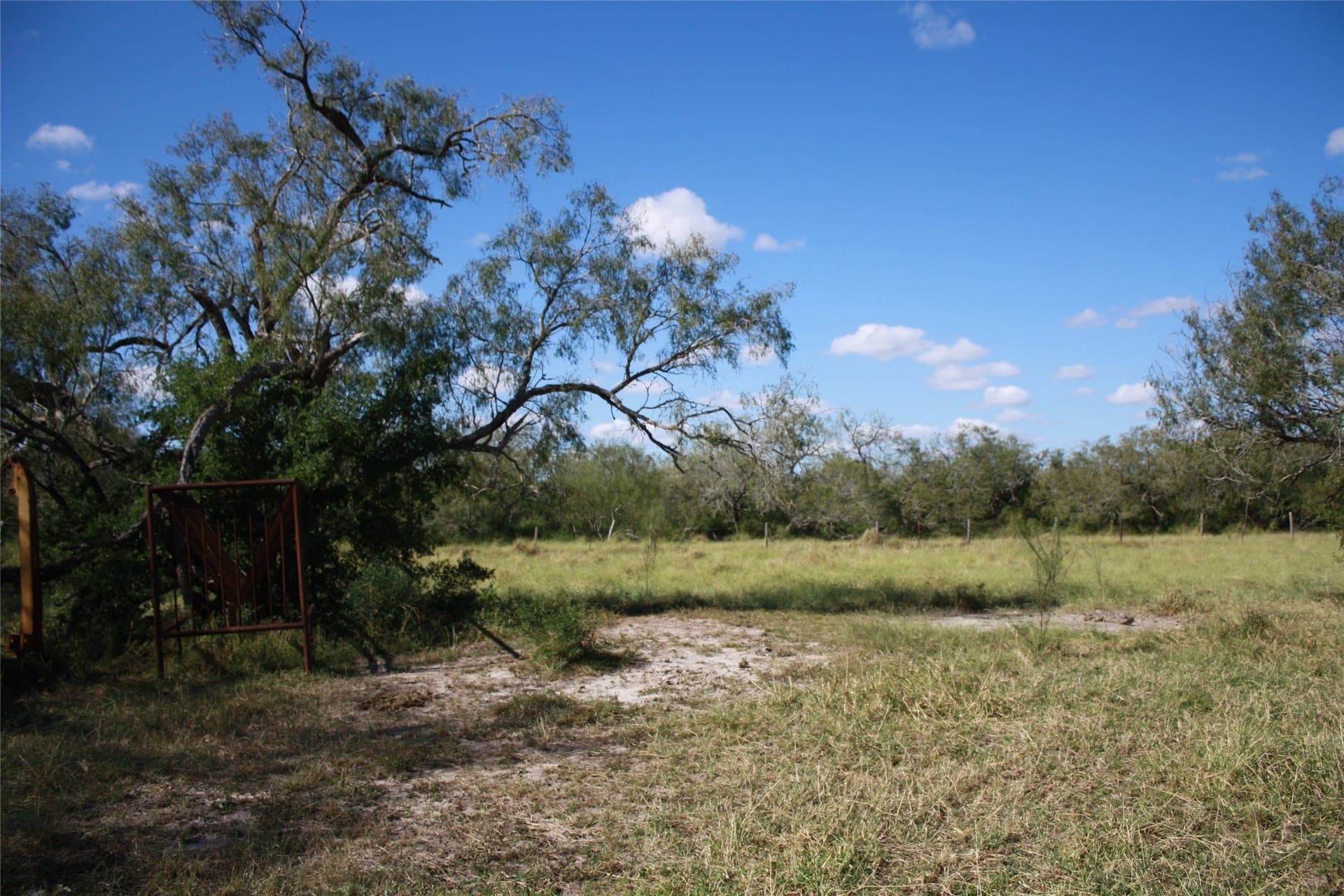 84.17 acres in San Patricio County - photo 6