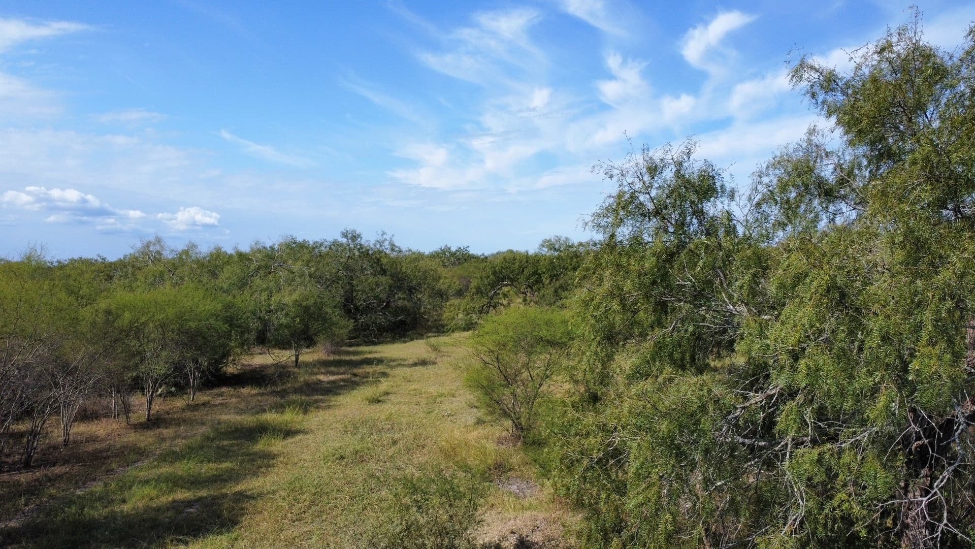 84.17 acres in San Patricio County gallery image 4