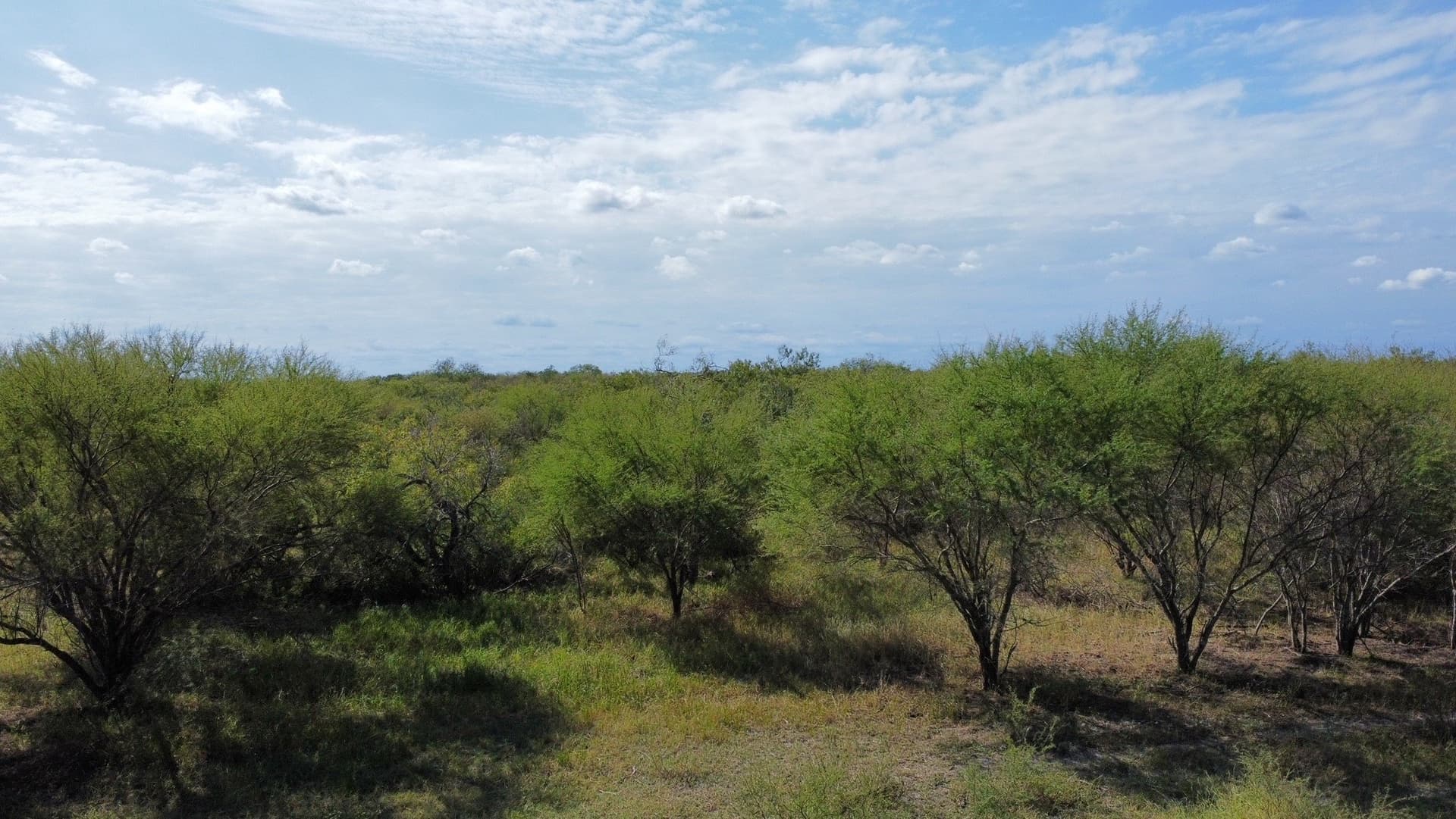 84.17 acres in San Patricio County - photo 20