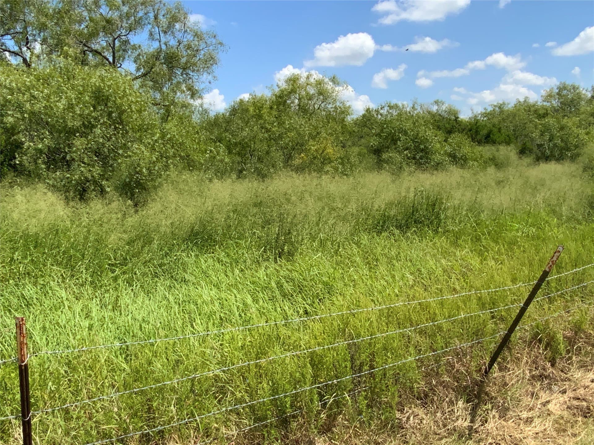 84.17 acres in San Patricio County - photo 10