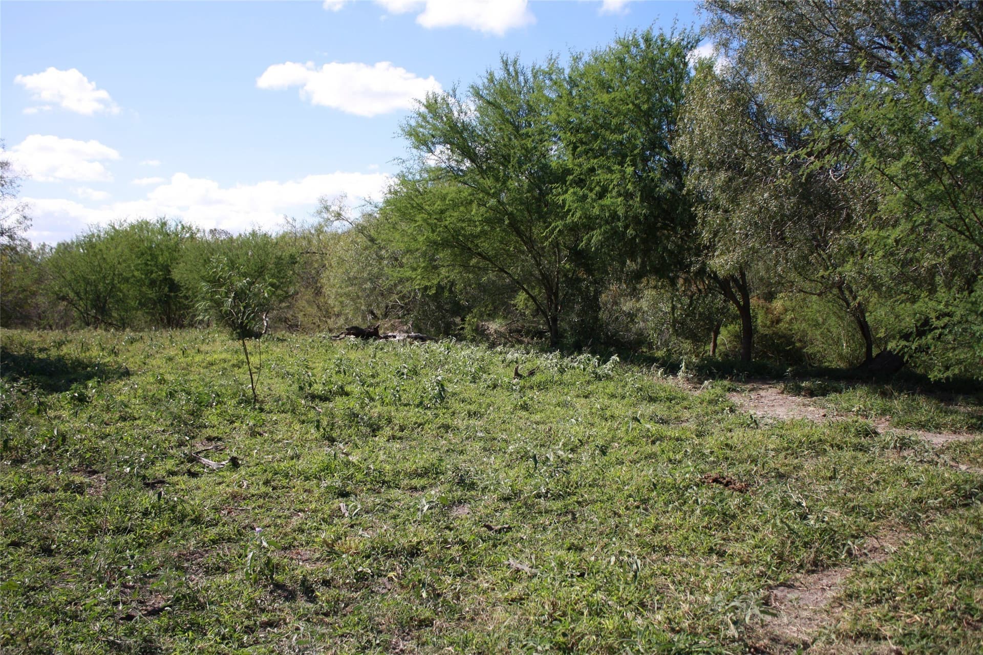 84.17 acres in San Patricio County featured view
