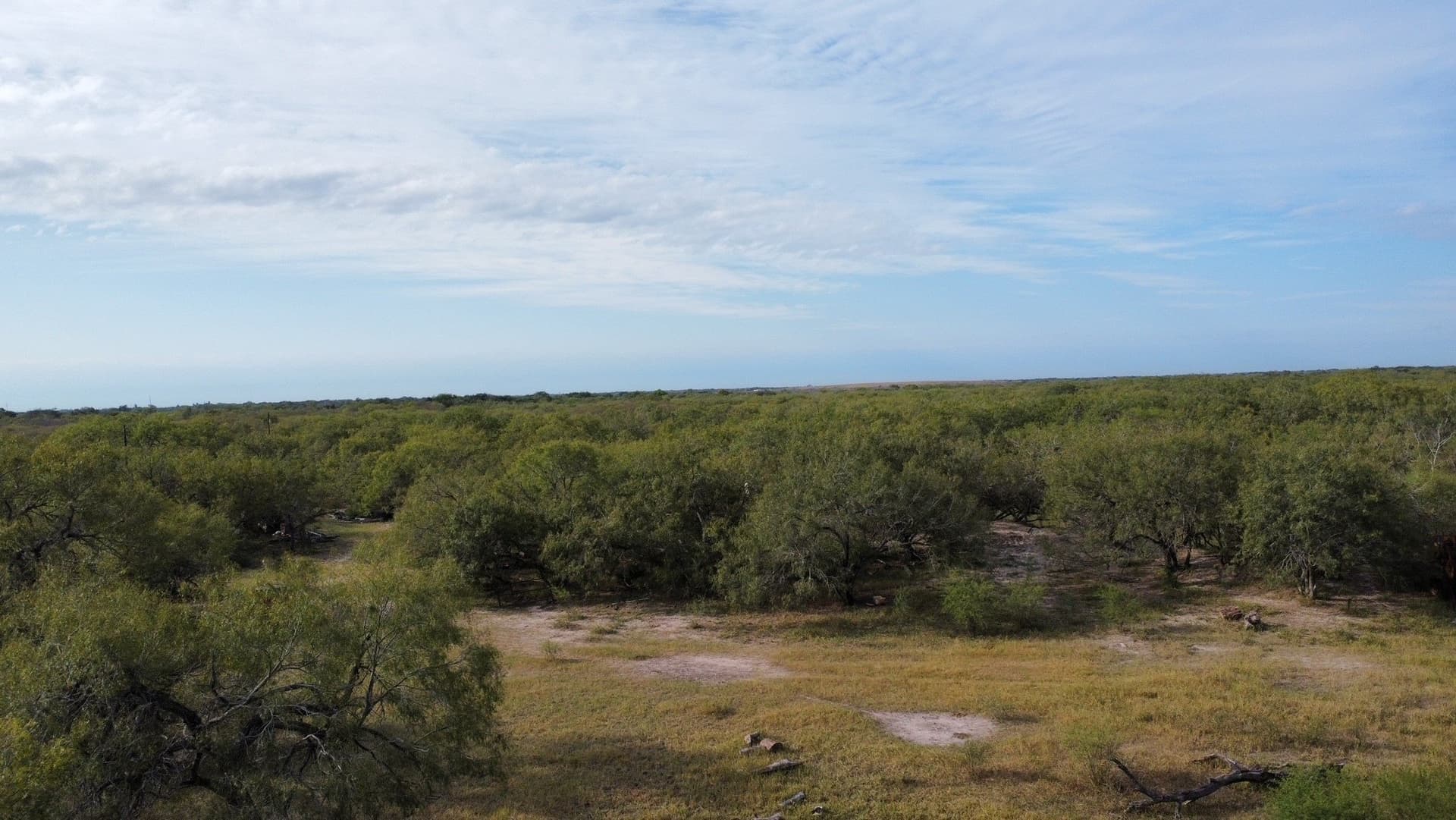 84.17 acres in San Patricio County - photo 18