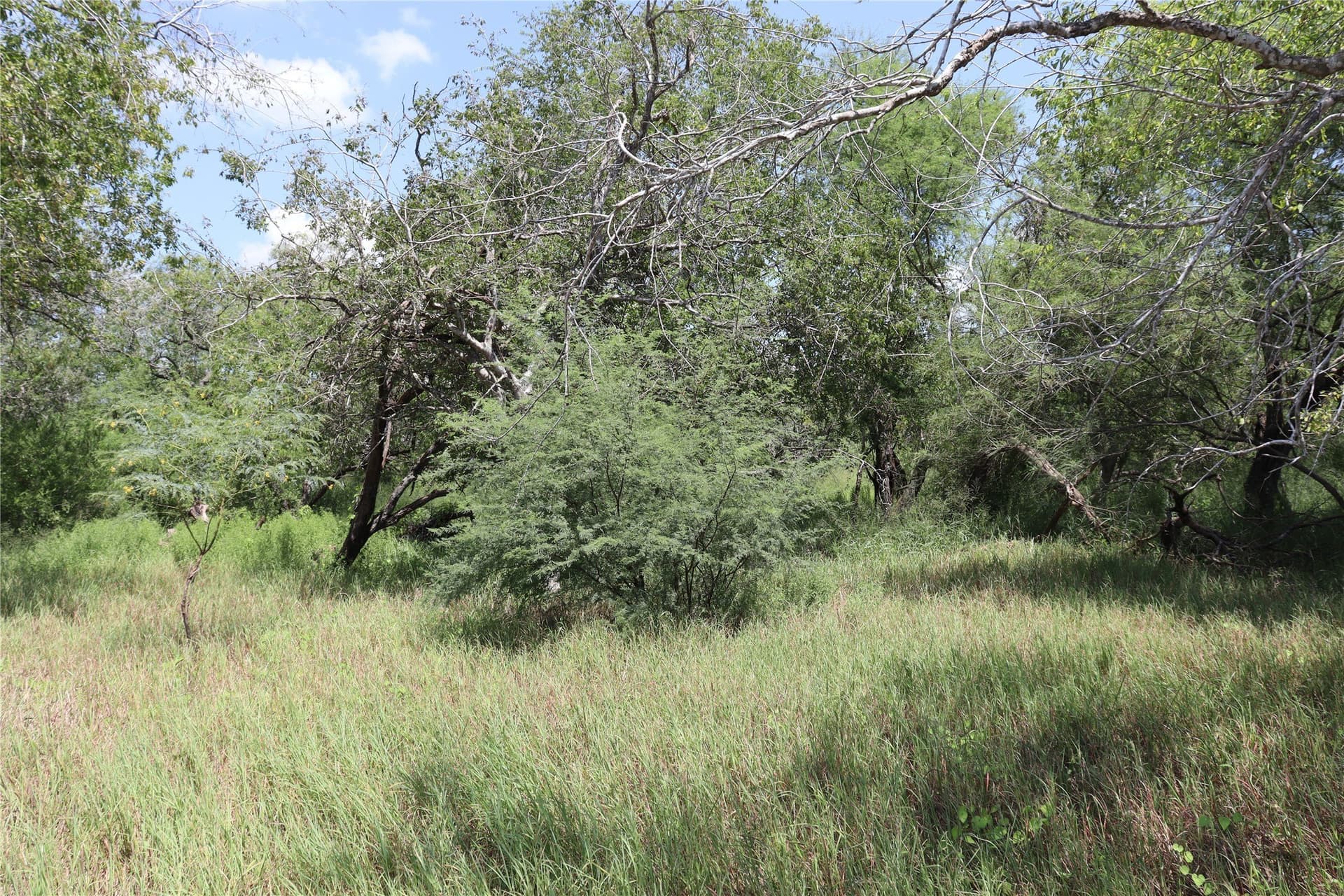 84.17 acres in San Patricio County - photo 15