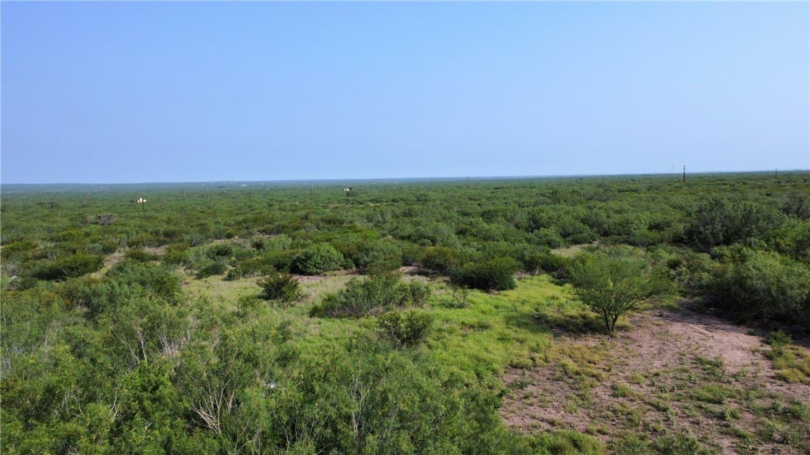 46.27 acres in Duval County - photo 15