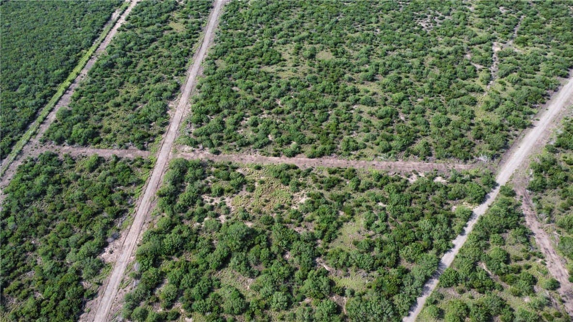 46.27 acres in Duval County - photo 11