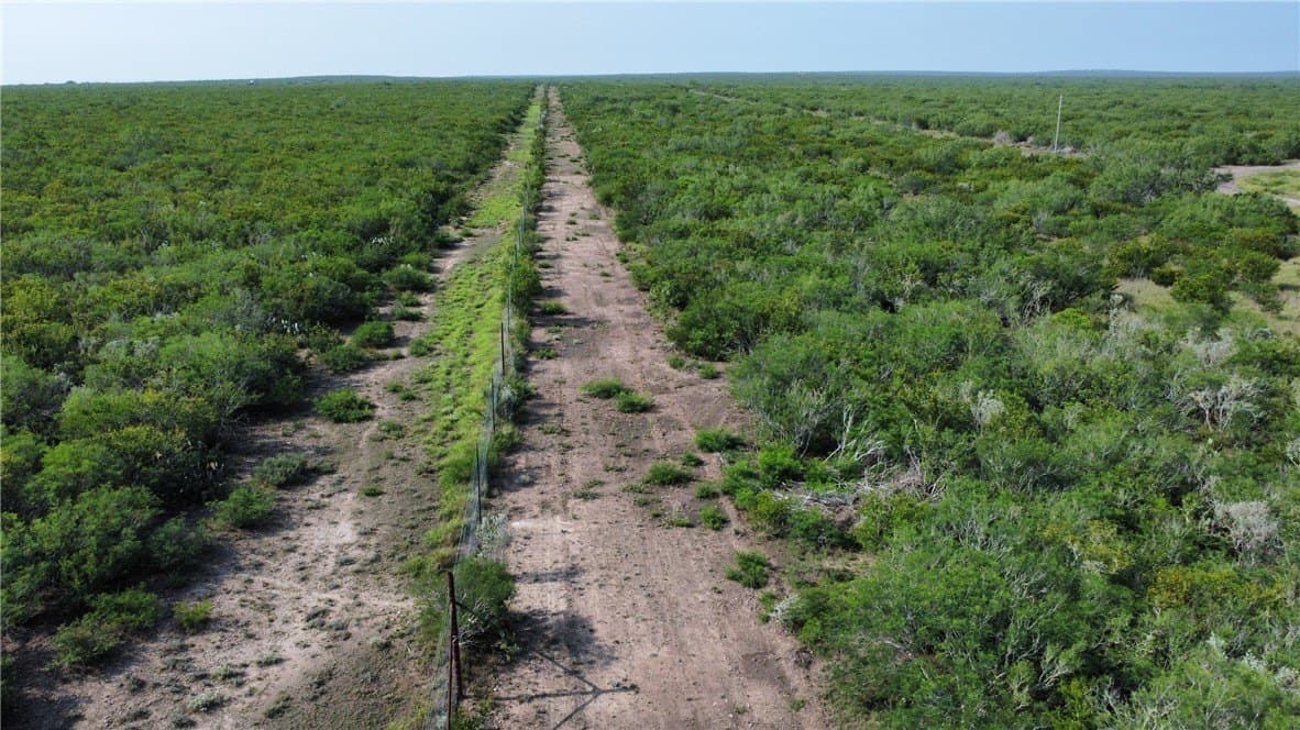 46.27 acres in Duval County - photo 13