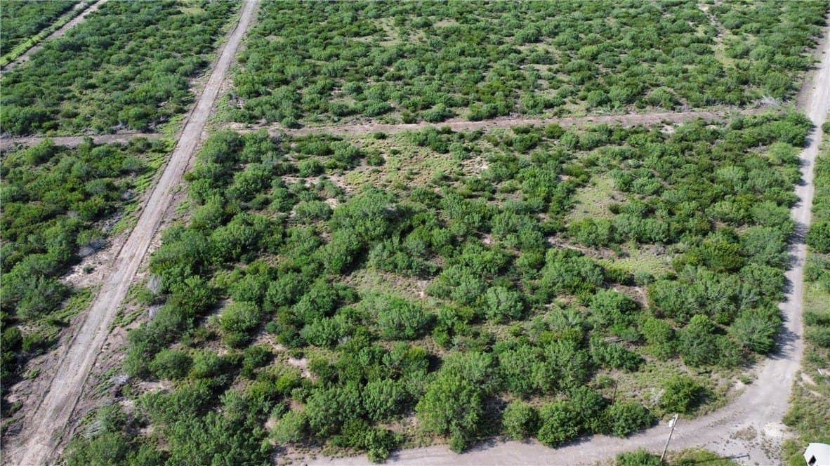 46.27 acres in Duval County - photo 10