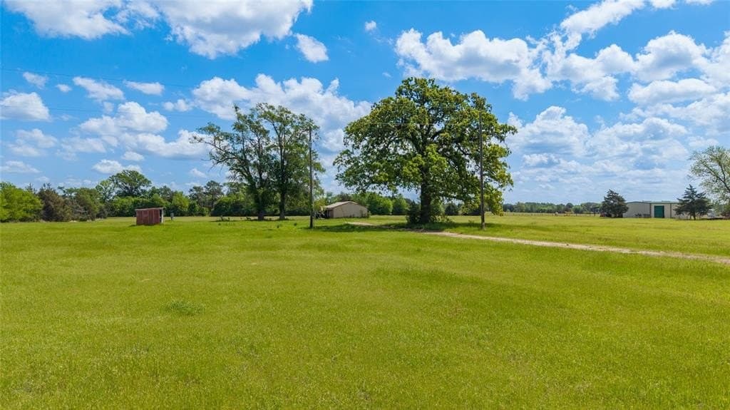 50.34 acres in Wood County gallery image 3