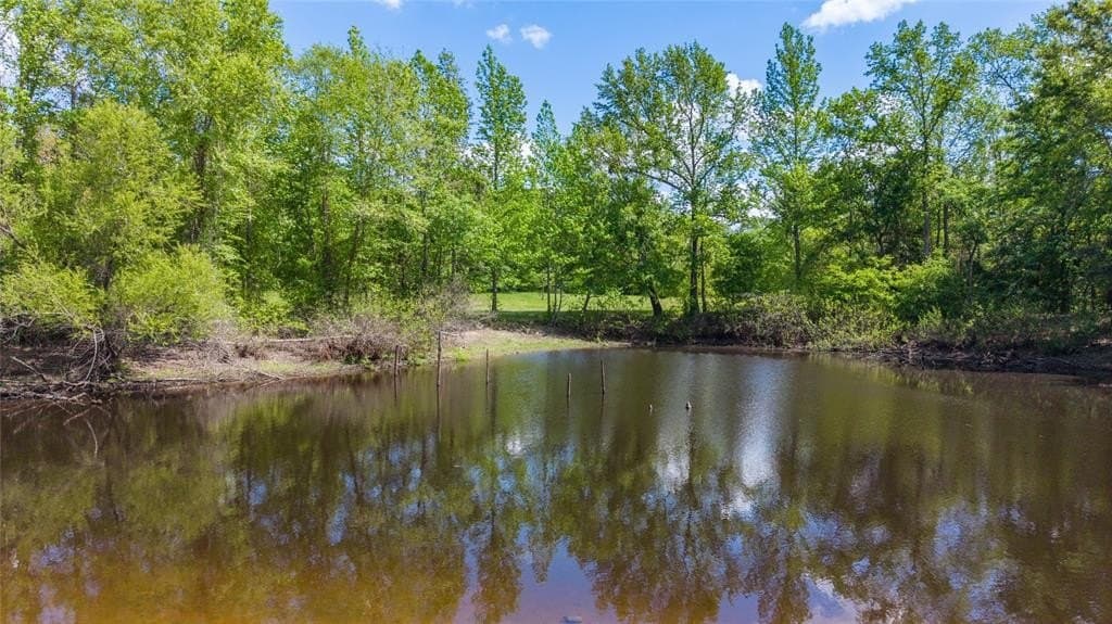 50.34 acres in Wood County featured view