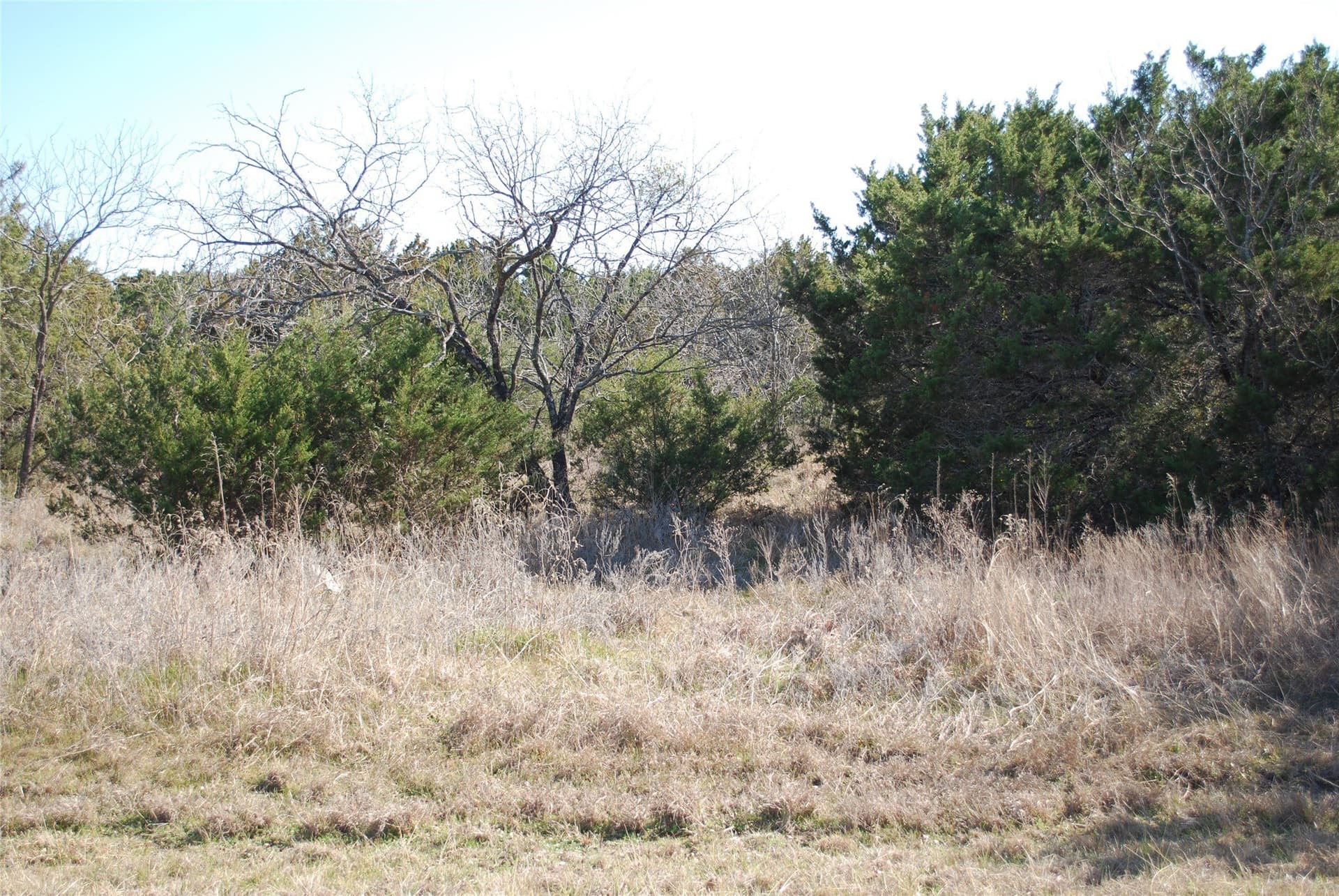 0.34 acres in Hill County - photo 3