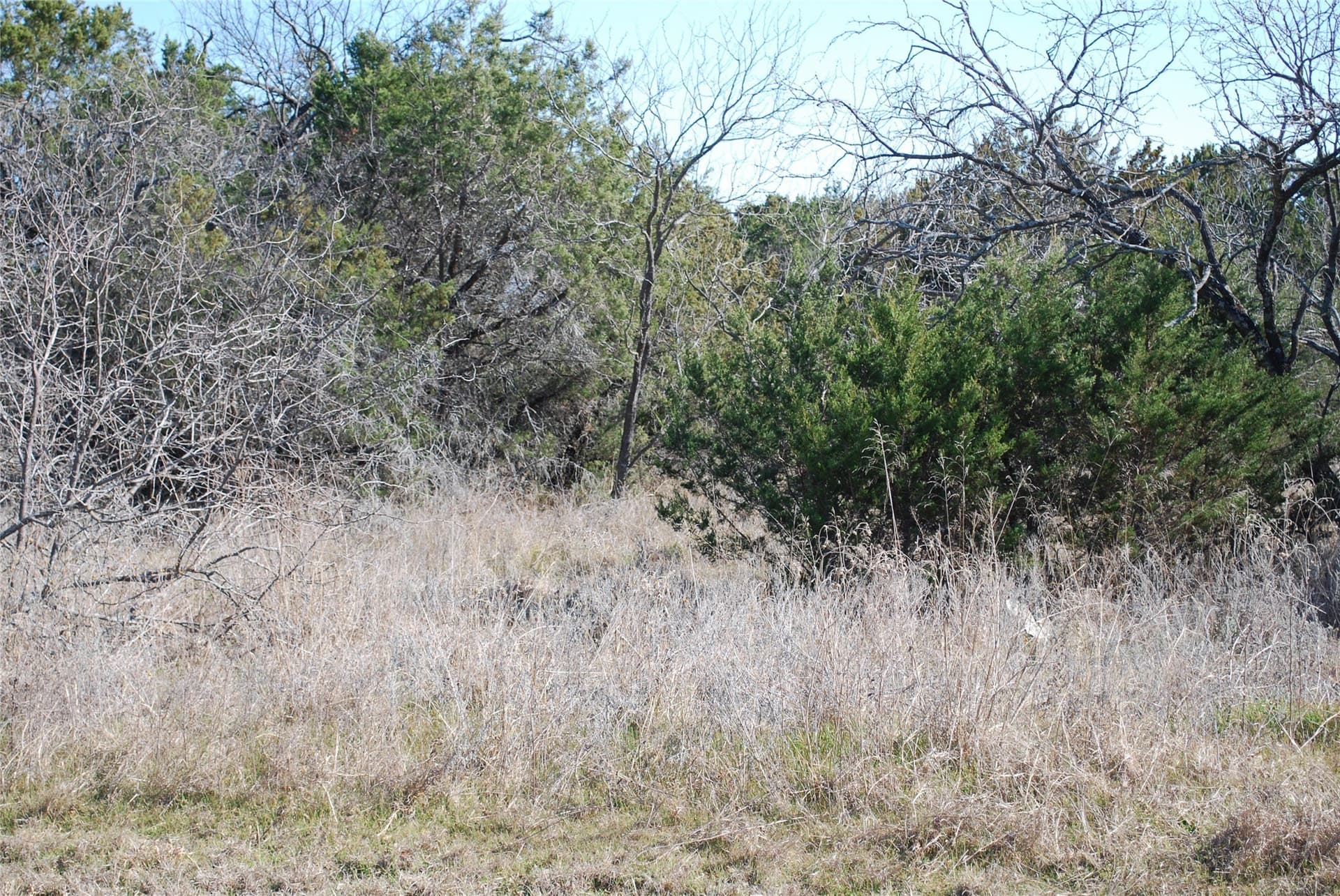 0.34 acres in Hill County - photo 2