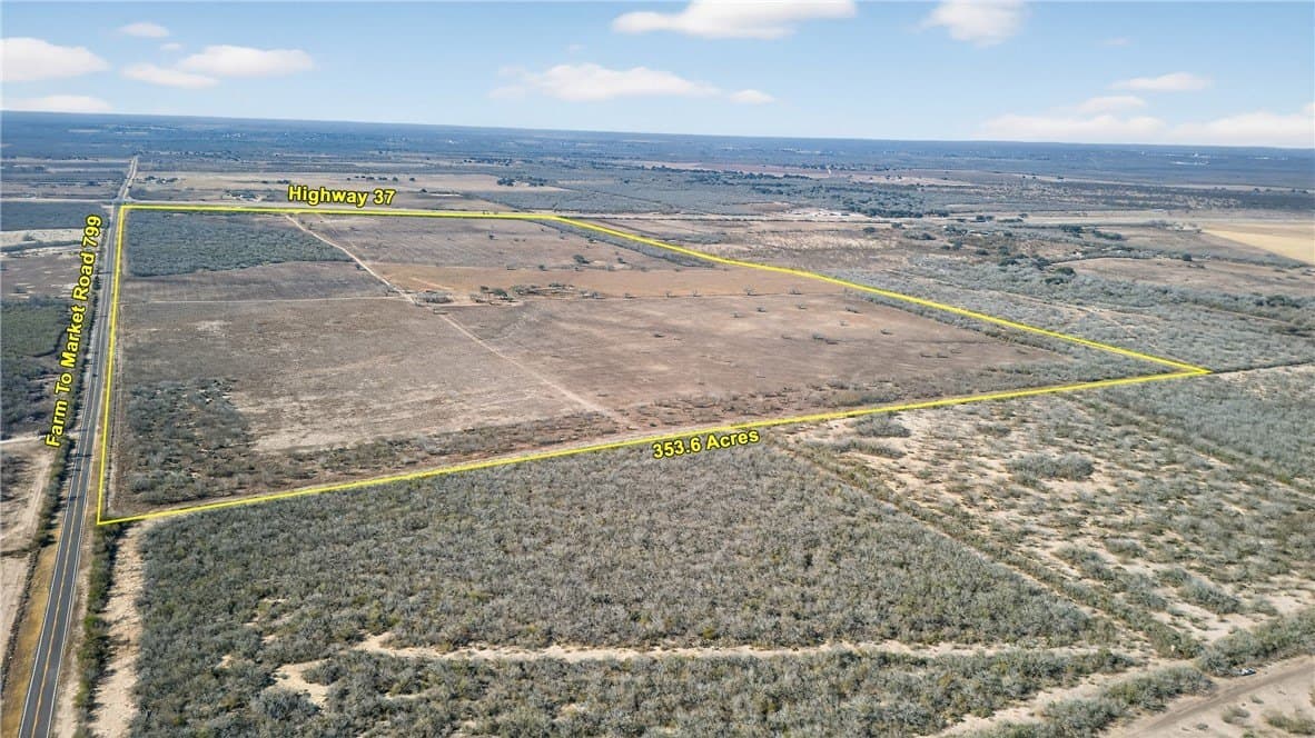 353.6 acres in Live Oak County gallery image 4