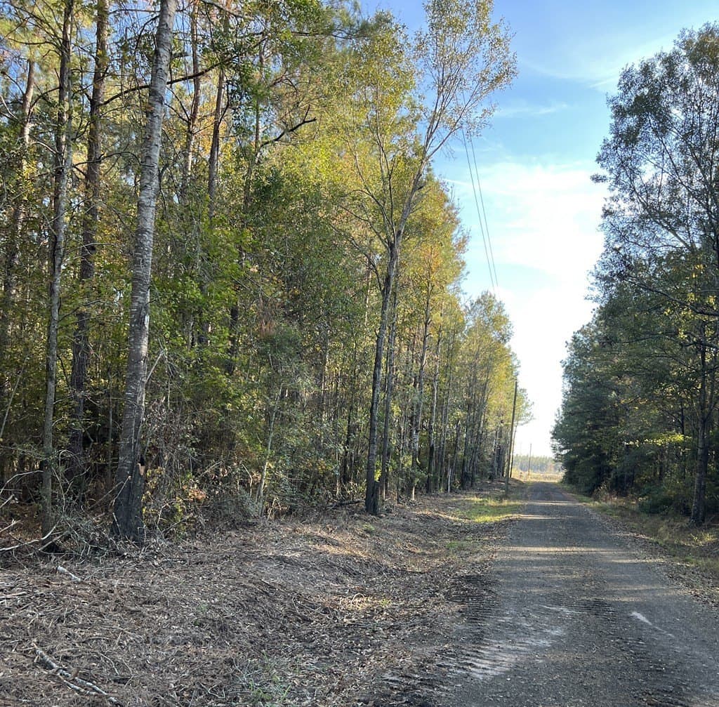 40 acres in Texas County gallery image 4