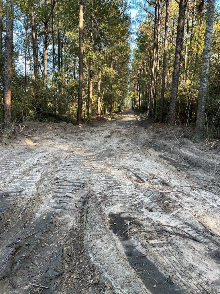 40 acres in Texas County gallery image 3