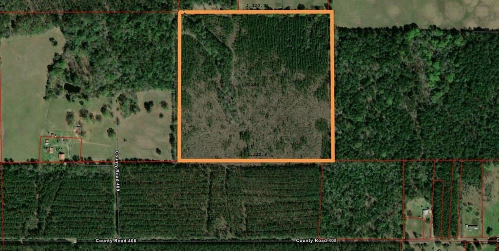 40 acres in Texas County gallery image 2