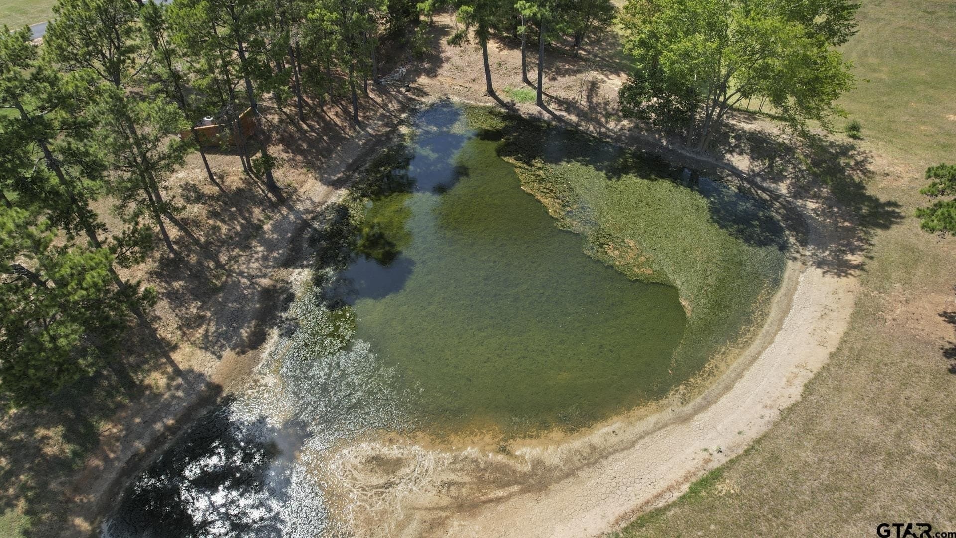 0.98 acres in Camp County - photo 6