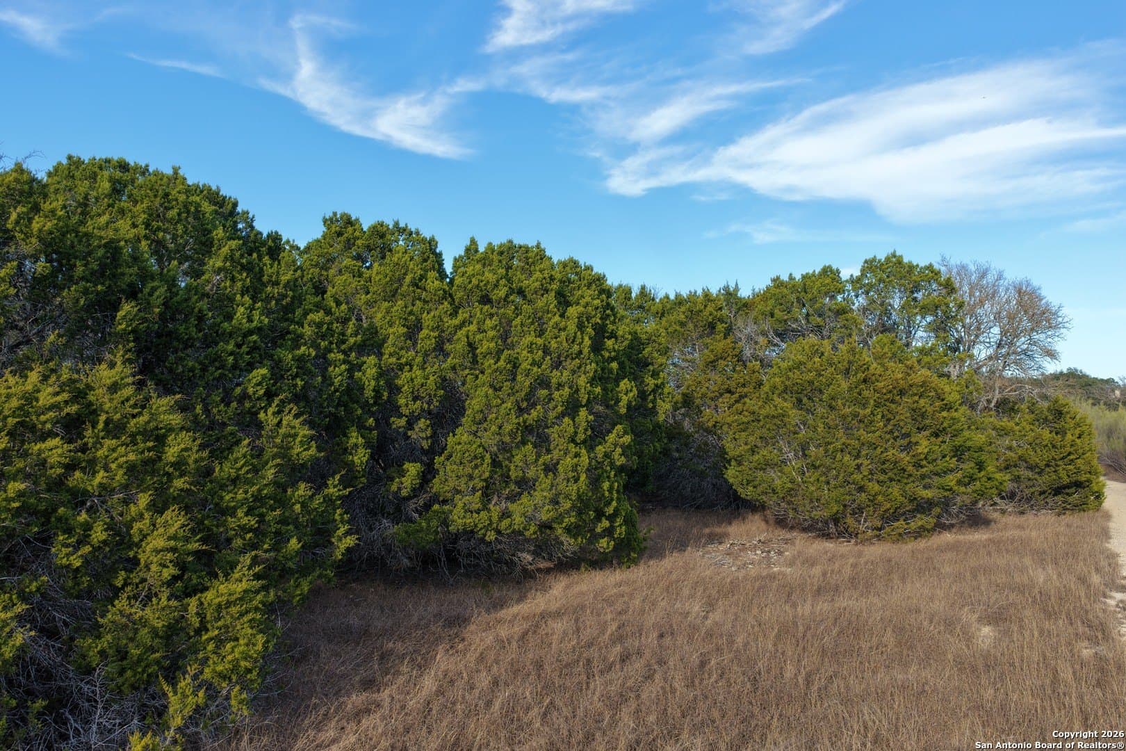 7.5 acres in Bandera County - photo 22