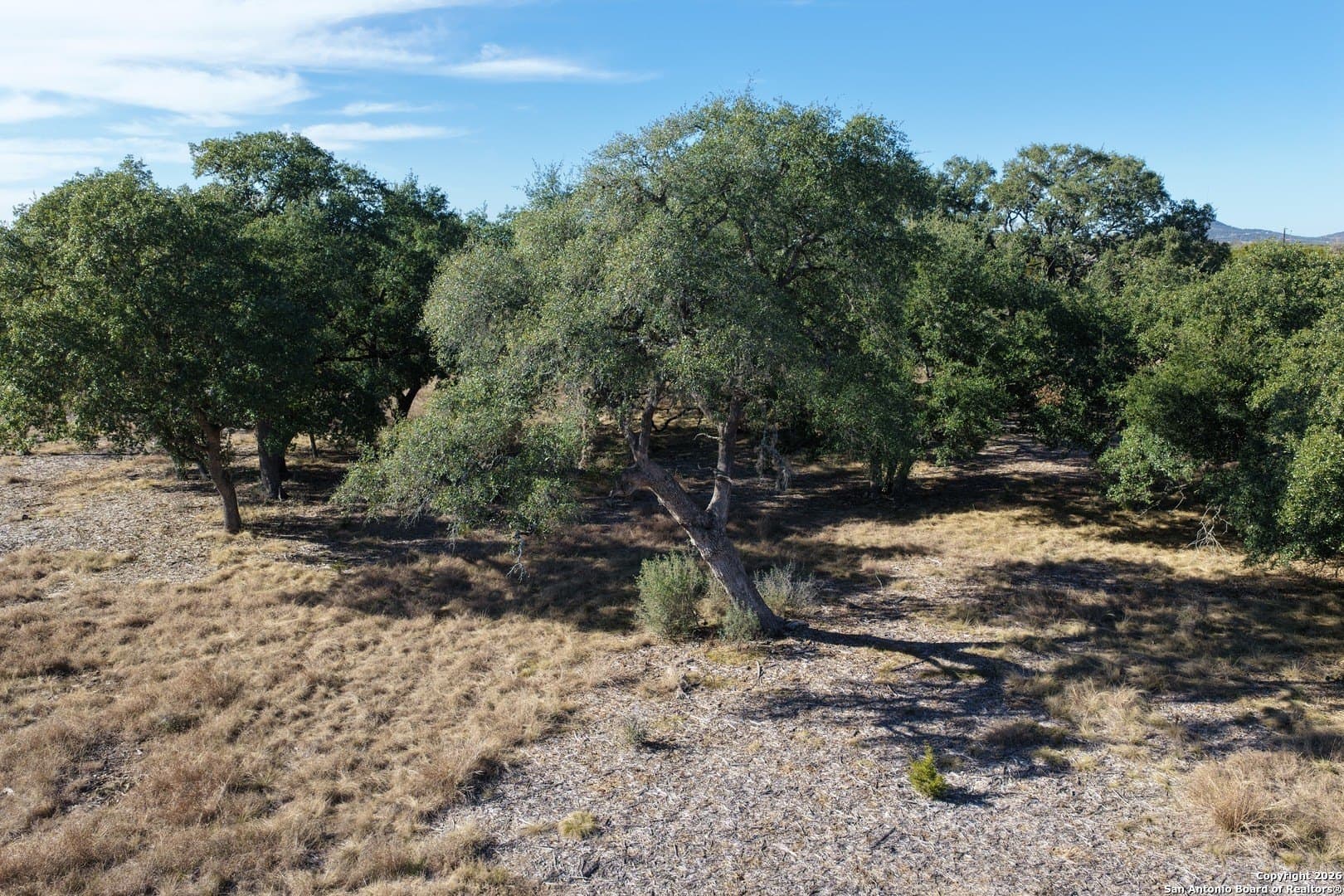 7.5 acres in Bandera County - photo 9