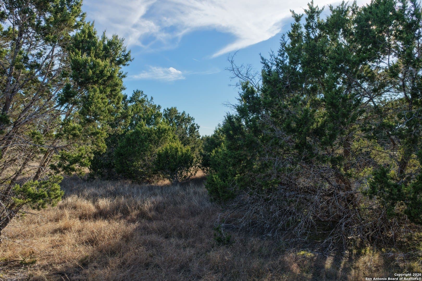 7.5 acres in Bandera County - photo 30