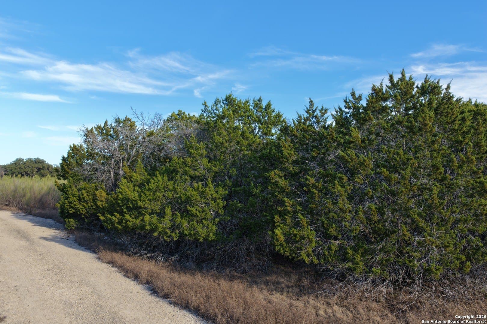 7.5 acres in Bandera County - photo 23