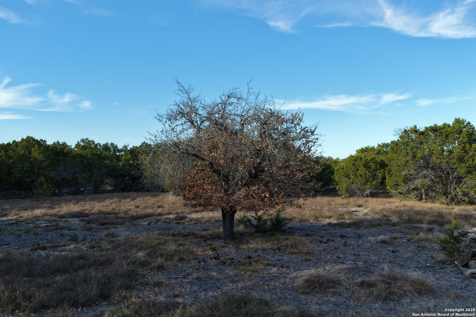 7.5 acres in Bandera County - photo 20