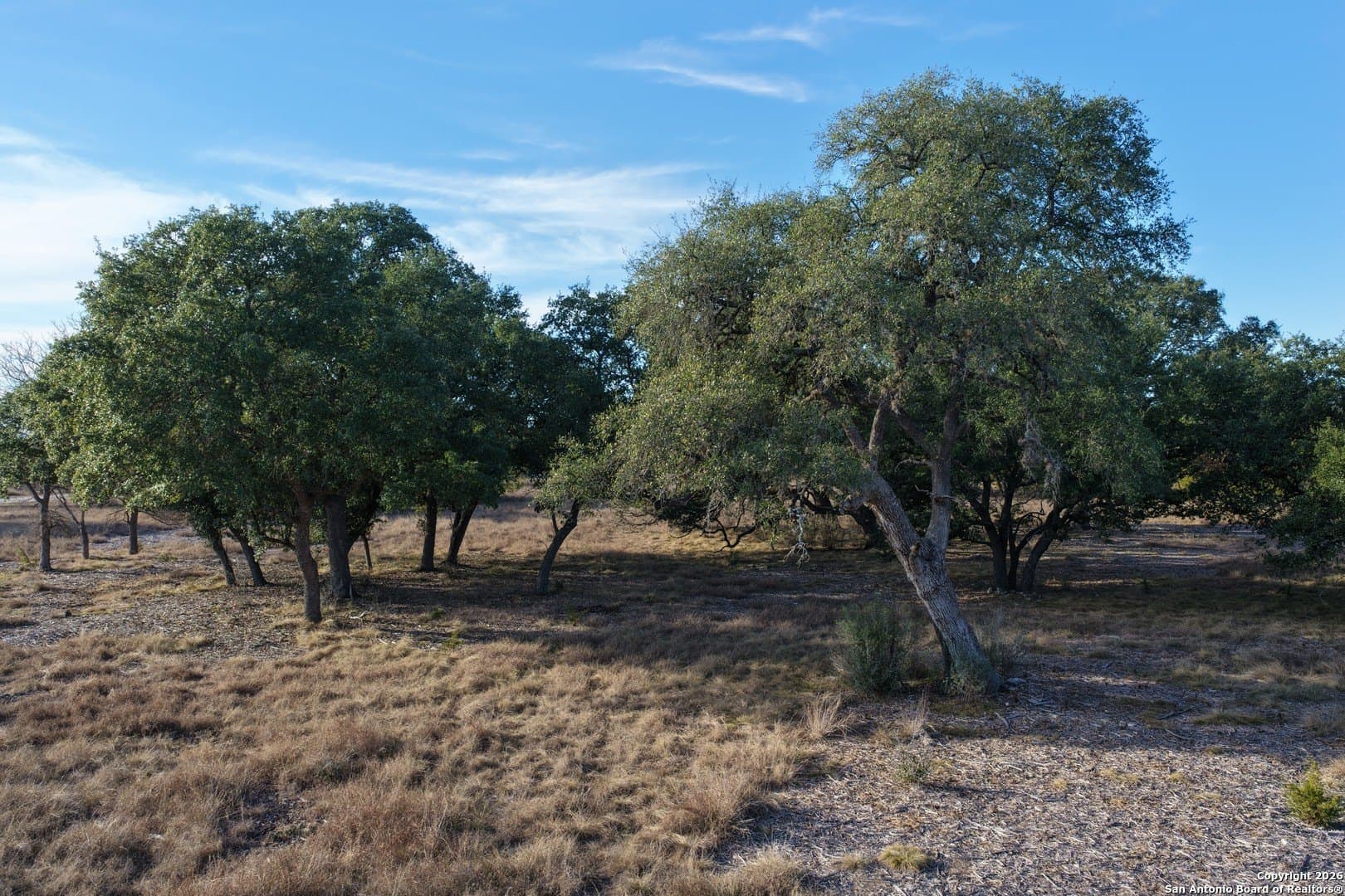 7.5 acres in Bandera County - photo 16