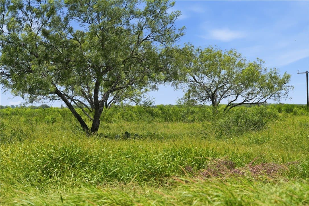 837.37 acres in Jim Wells County - photo 31