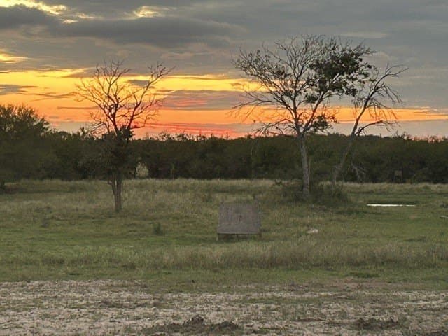 837.37 acres in Jim Wells County - photo 47