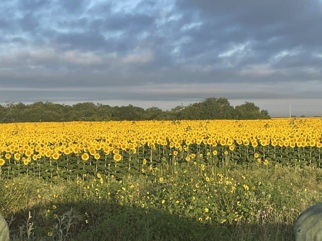 837.37 acres in Jim Wells County - photo 46