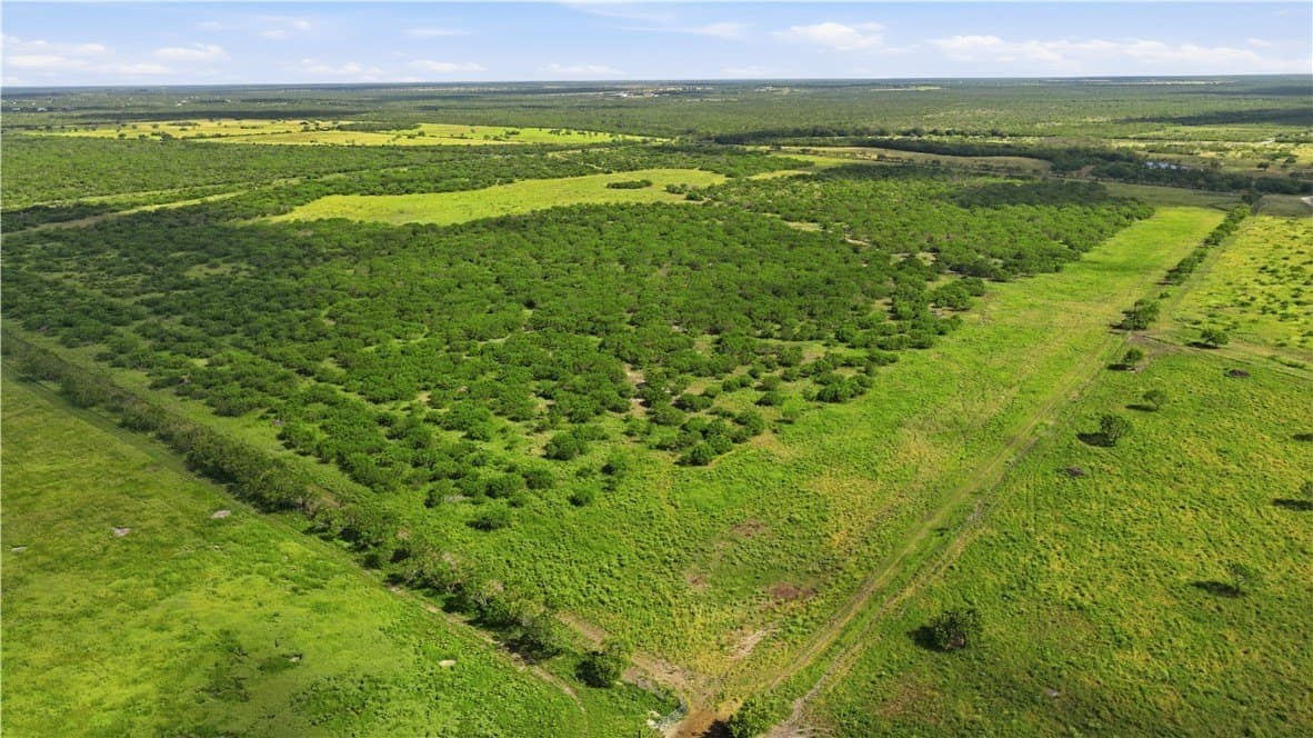 837.37 acres in Jim Wells County - photo 35