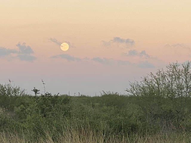 837.37 acres in Jim Wells County - photo 43