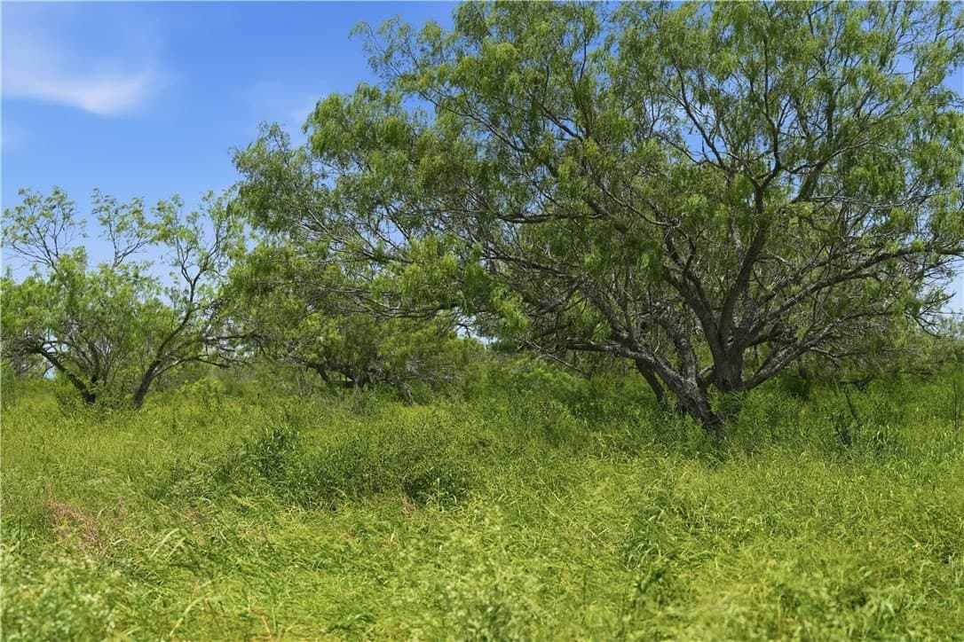837.37 acres in Jim Wells County - photo 27