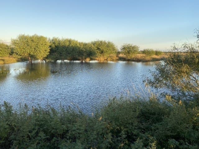 837.37 acres in Jim Wells County - photo 41