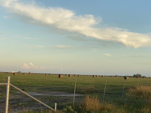 837.37 acres in Jim Wells County - photo 44