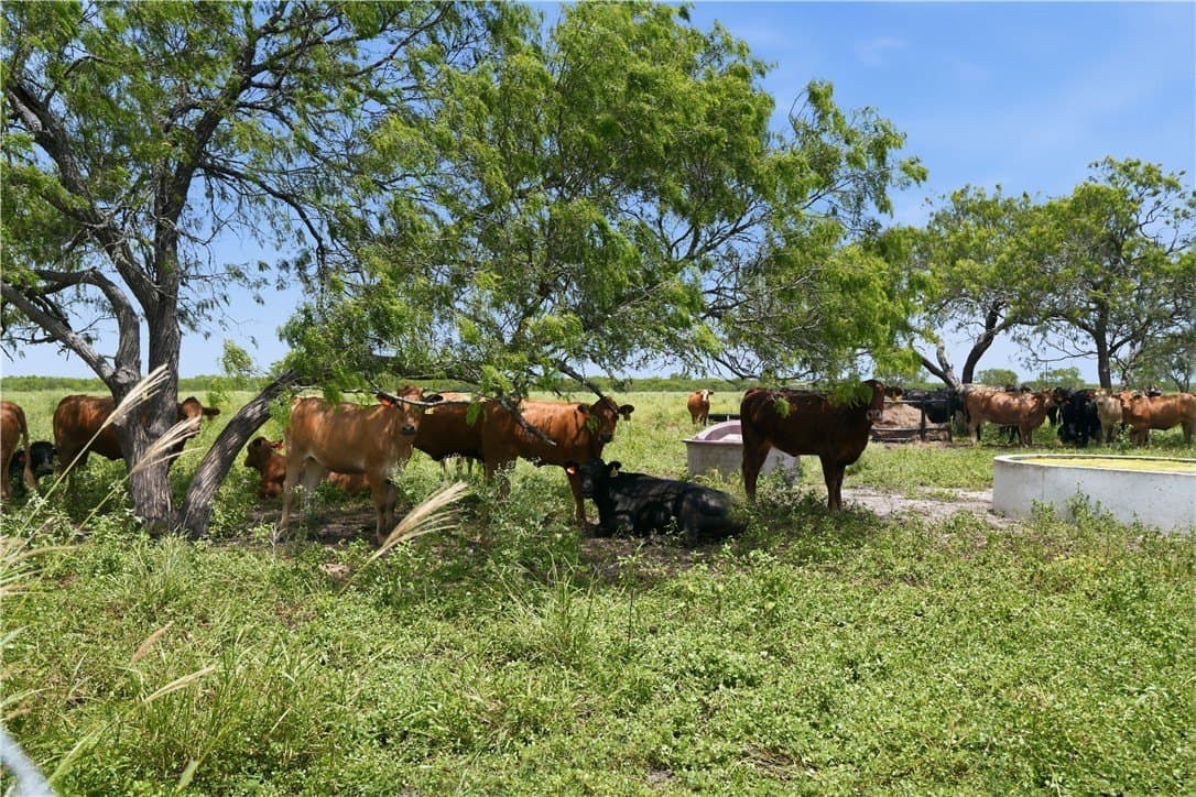 837.37 acres in Jim Wells County - photo 29