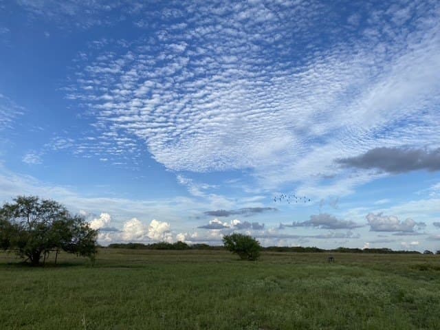 837.37 acres in Jim Wells County - photo 40